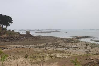 By the shore