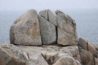 Rock