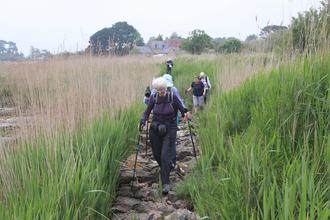 Crossing the reed bed