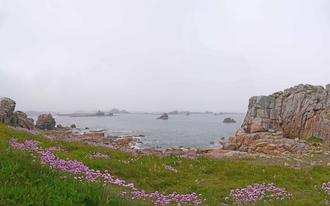 Rocks and flowers