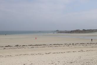 Misty beach
