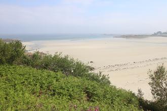 Beach with a touch of sea fret