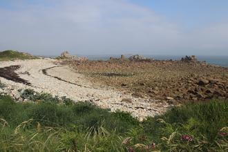 Rocky beach
