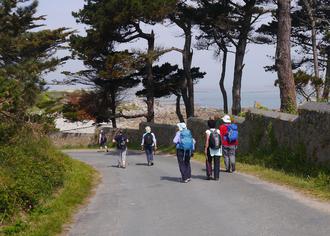 Walking along the road