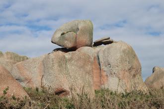 Pink Granite