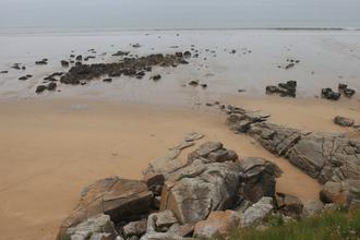 Beach near the mouth of the estuary