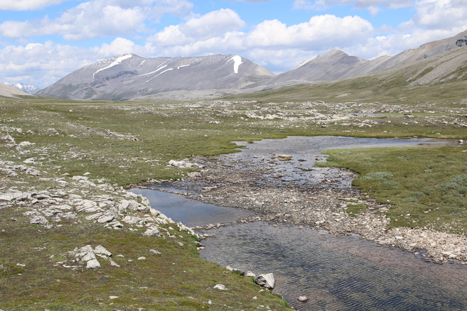 Wilcox Pass
