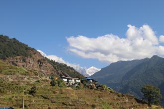 Nepalese farm