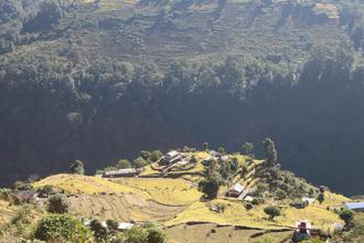 Terraces
