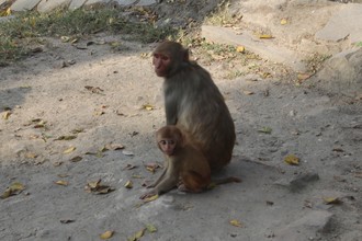 Mother and Child