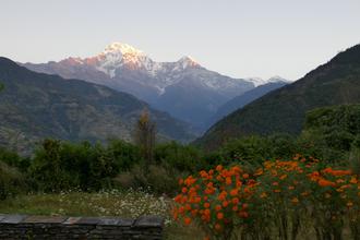 View from our room at Gurung lodge