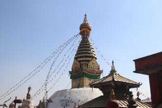 Monkey Temple