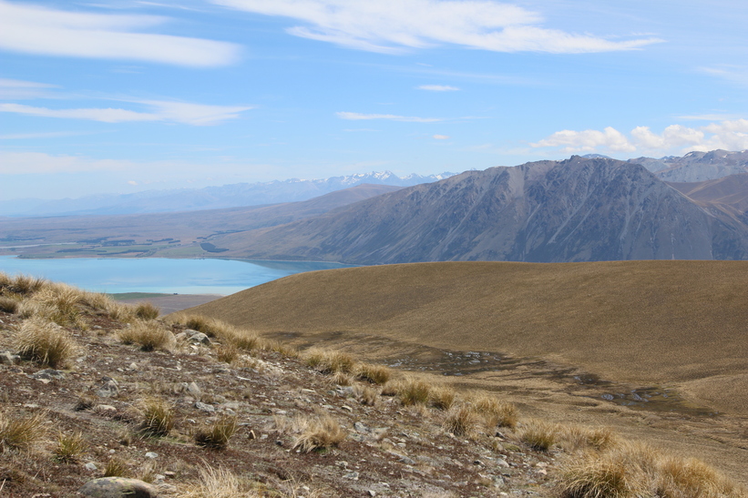 Lake Tekapo from Snake Ridge