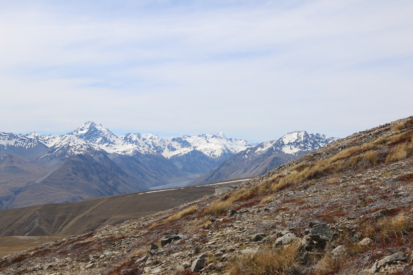 Mountains above Godley River