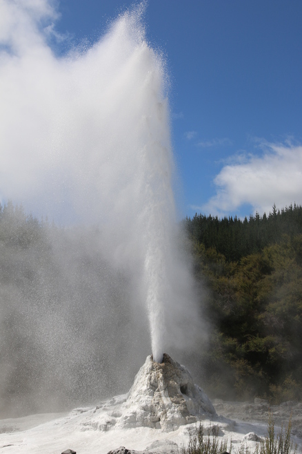 Lady Knox Geyser