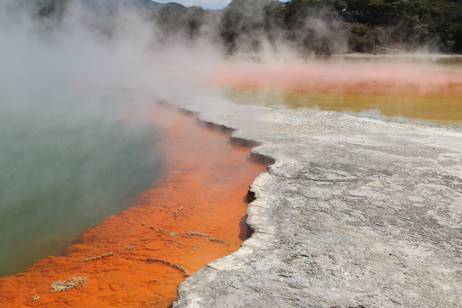 The Champagne Pool