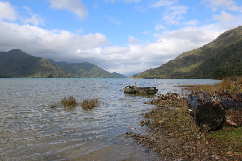 Nydia Bay