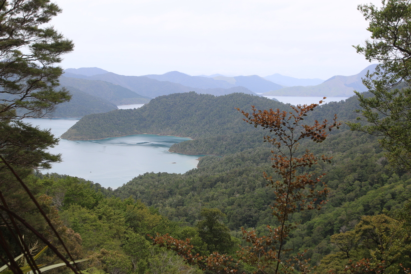 Nydia Bay