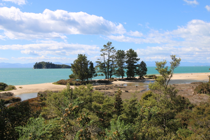Apple Tree Bay from above