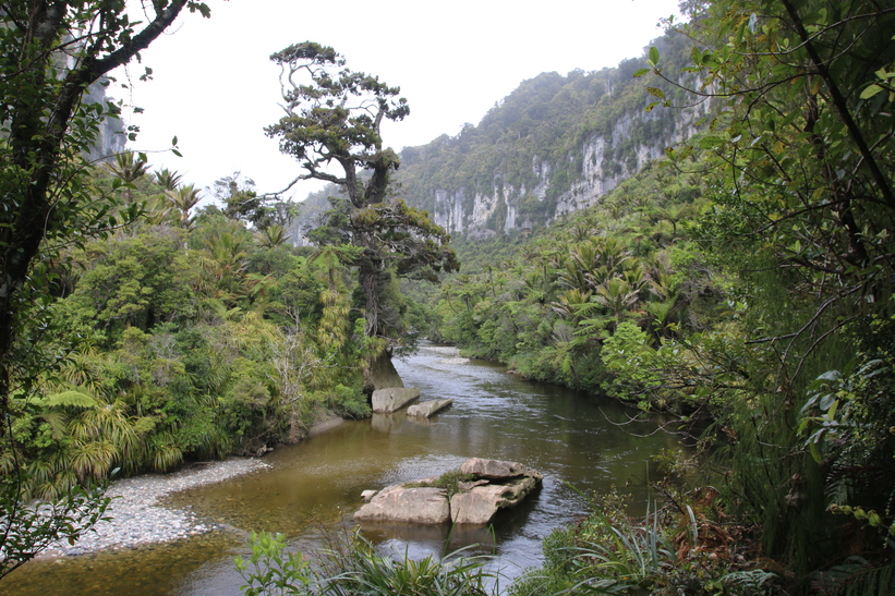 Pororari River
