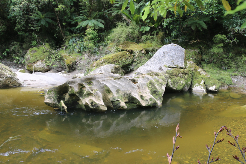 Rock on Pororari river
