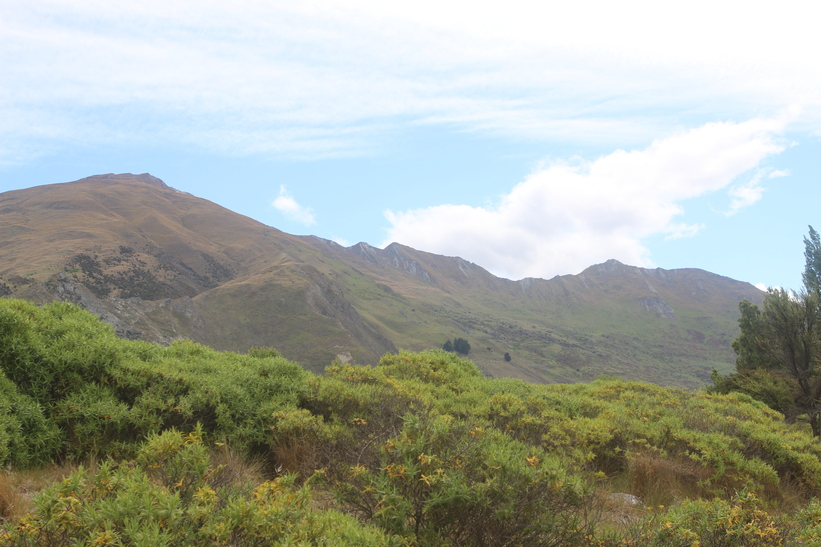 Roys Peak