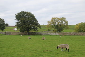 View from B6277 near Low Force