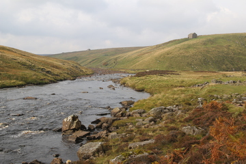 Swarth Beck meeting River Tees