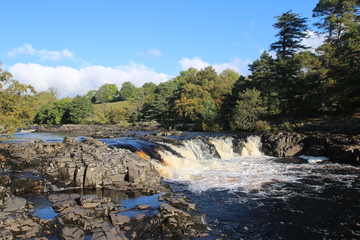 Low Force