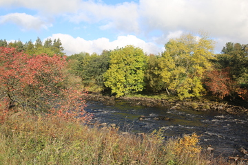 River Tees, between Low Force and High Force