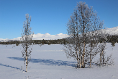 View from Rondablikk peninsula