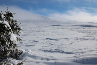 Windswept snow and lifting mist