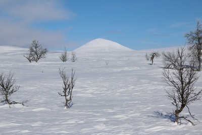 A rounded hill