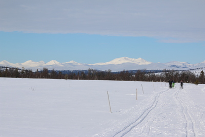 Skiing away from the mountains