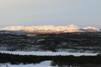 View from
        Dalseter