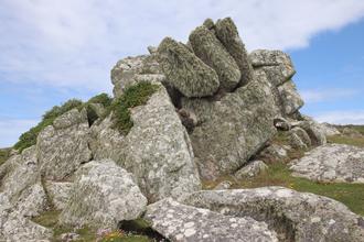 Hairy rock