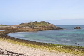 Looking back to White Island