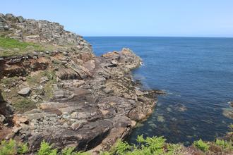 Around Brandy Point