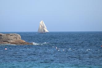 Sailing Ship