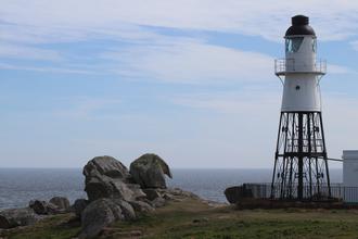 Lighthouse and Polar Bear