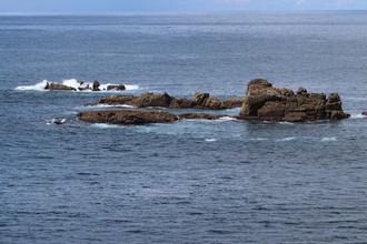 Sea rocks
