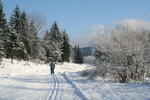 Skiing on the way to Bohinjska Bistrica