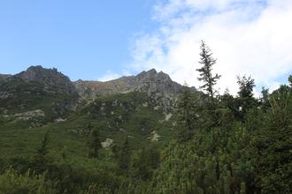 Tree covered slopes