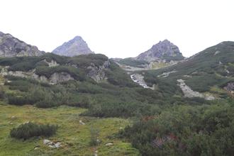 Mountain view