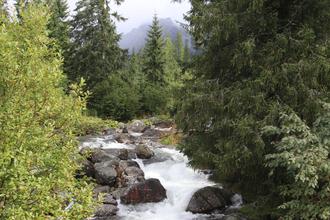 Poprad river