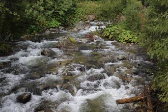 River