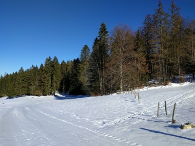 The start of the downhill