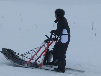 The sleigh
