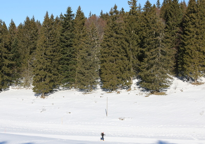 Skiing along the track