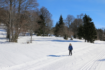Skiing along the track